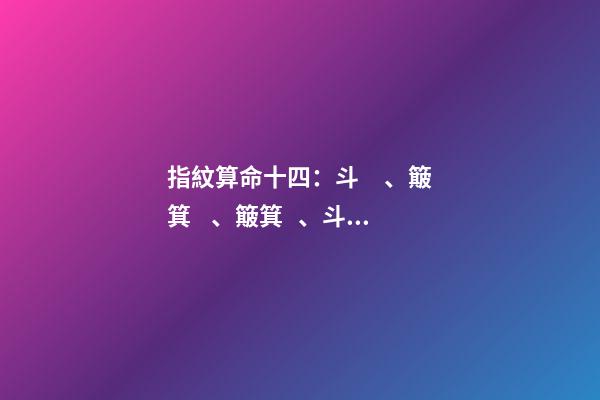 指紋算命十四：斗、簸箕、簸箕、斗、簸箕